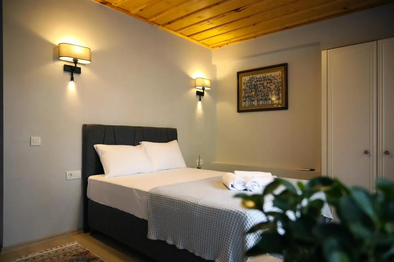 Narpera Taksim Boutique Hotel 伊斯坦布尔