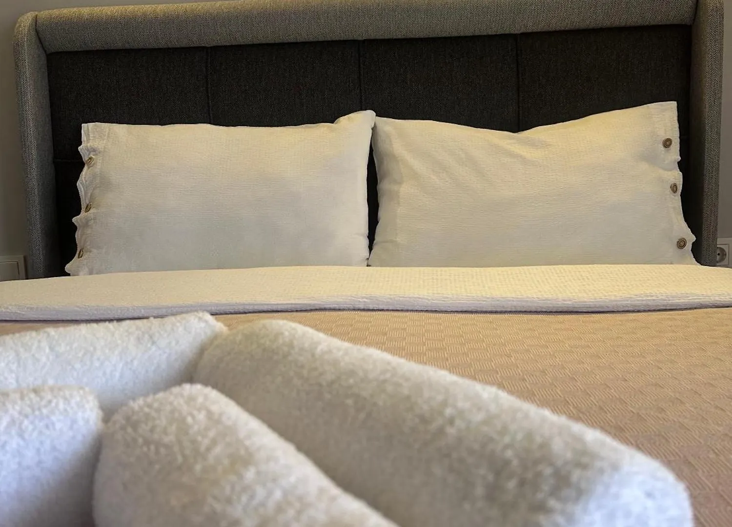公寓 Narpera Taksim Boutique Hotel 伊斯坦布尔