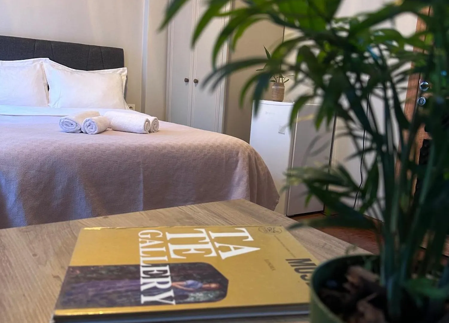 Narpera Taksim Boutique Hotel 伊斯坦布尔 土耳其