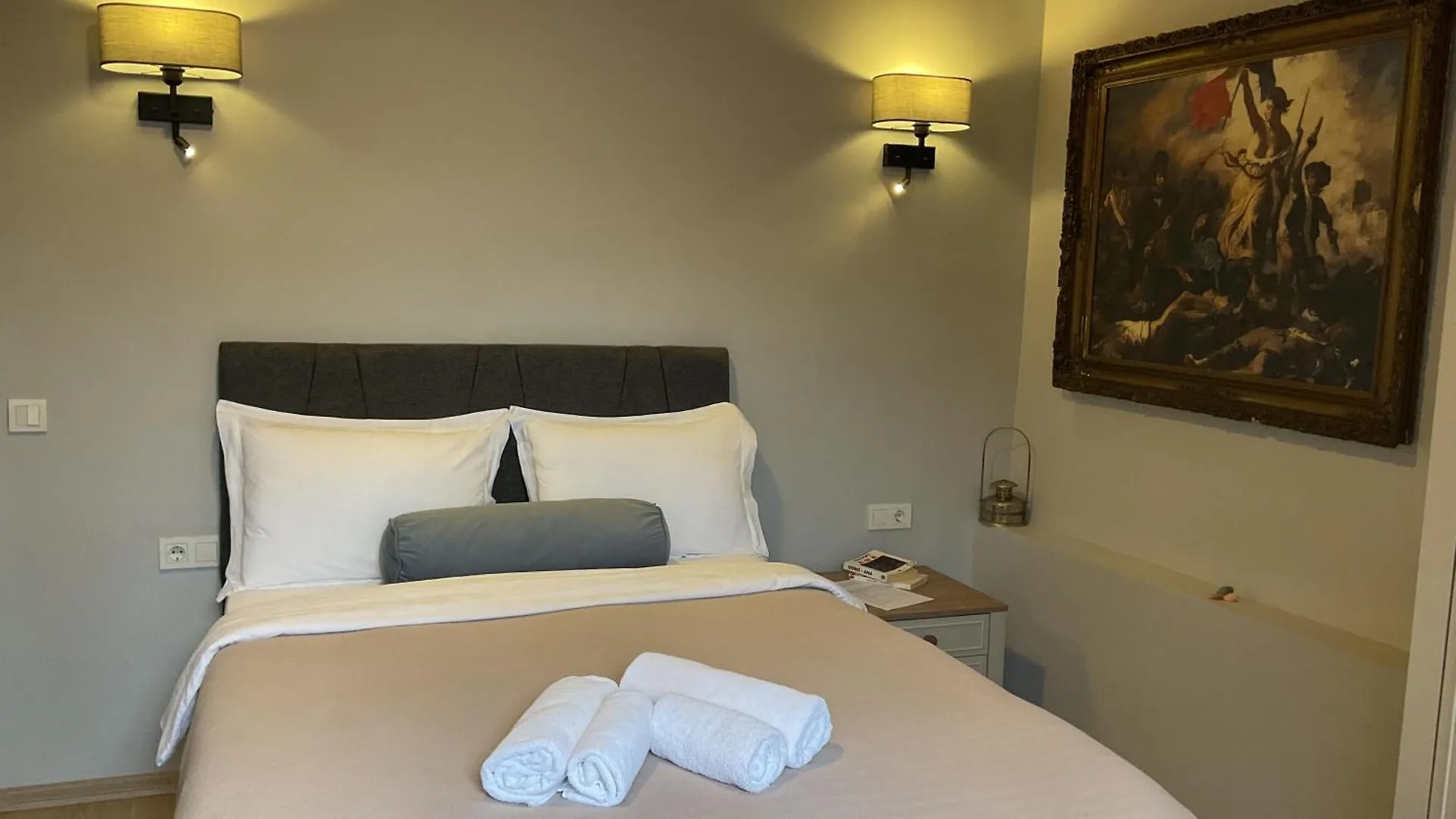 公寓 Narpera Taksim Boutique Hotel 伊斯坦布尔