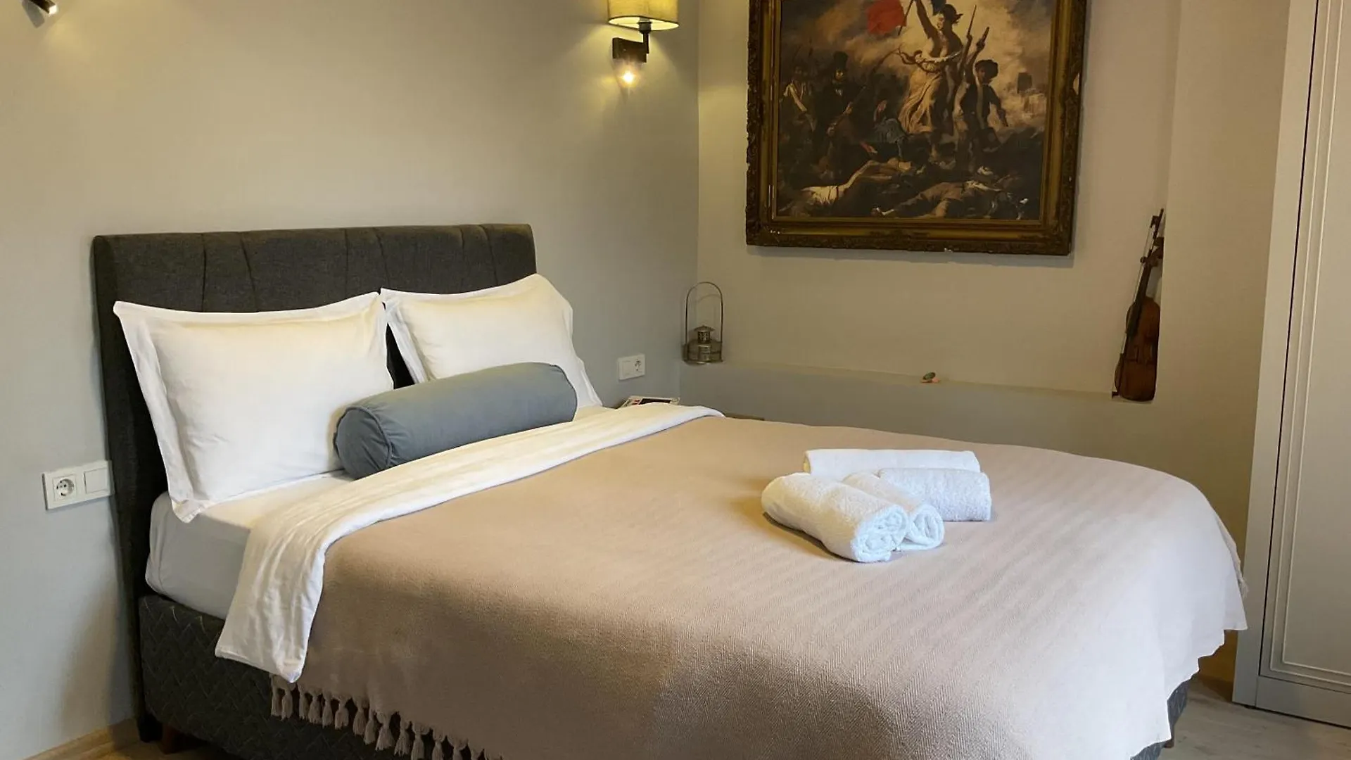 Narpera Taksim Boutique Hotel 伊斯坦布尔