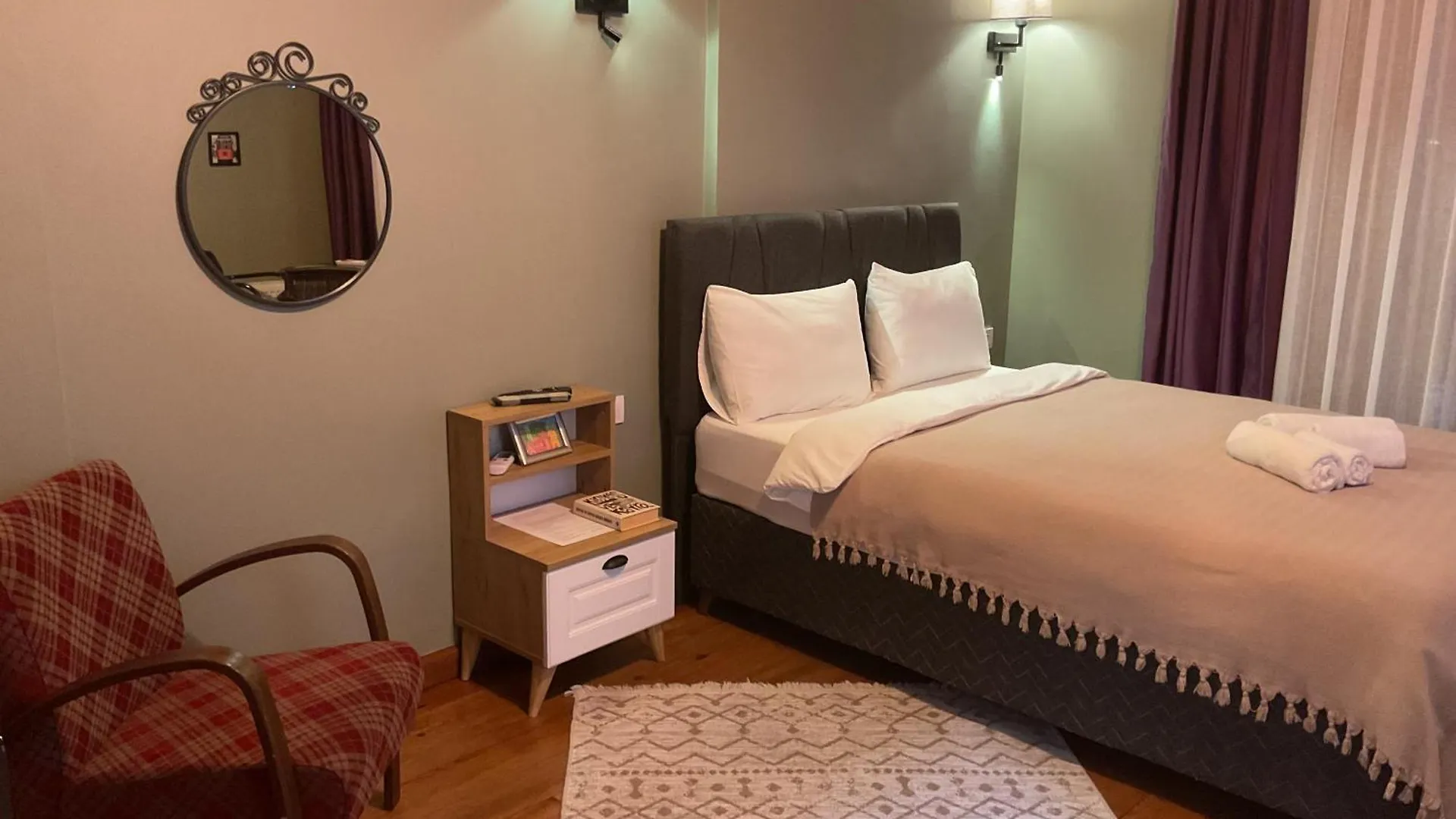 Narpera Taksim Boutique Hotel 伊斯坦布尔 公寓